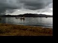 isla uros en el titicaca