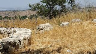 منظر جميل من احضان الطبيعة من قرية بيت ثول في القدس منظر جميل من احضان الطبيعة من قرية بيت ثول في القدس