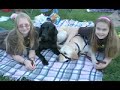 Dogs4Diabetics  Diabetes Insulin aspart