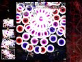 Touhou 9.5 - Shoot the Bullet Scene 10-6 Clear