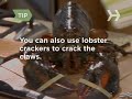 How To Remove Meat From a Lobster How To Remove Meat From a Lobster