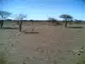 Deserto Mauritano