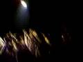 ZSK- was wir wollen live in Hamburg 24.3.2007