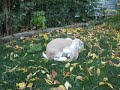 Yofi Oct 21 2007