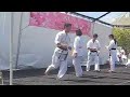 Karate Performance at SF Sakura Matsuri 2008