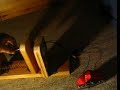 Free Energy Harvester P.F.E.H. Overdose Energy Collector