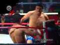 peleas vale tudo