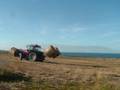 McCormick mtx