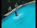Jumpando do telhado - Pedrin