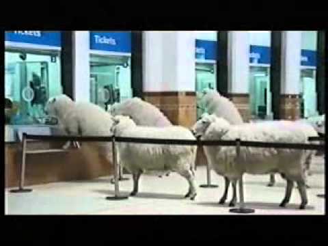 gala bingo gala bingo