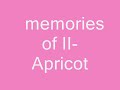 foundation09 apricot