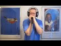Rock Around The Clock. Bill Haley harmonica cover