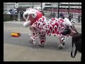 Melbourne Docklands Chinese Hok San Lion Dance Pt 1