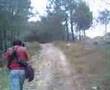 cabalos de mougás