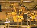 DJ Icey - Cross Eyed Sally (Robotic Ragga Mix)