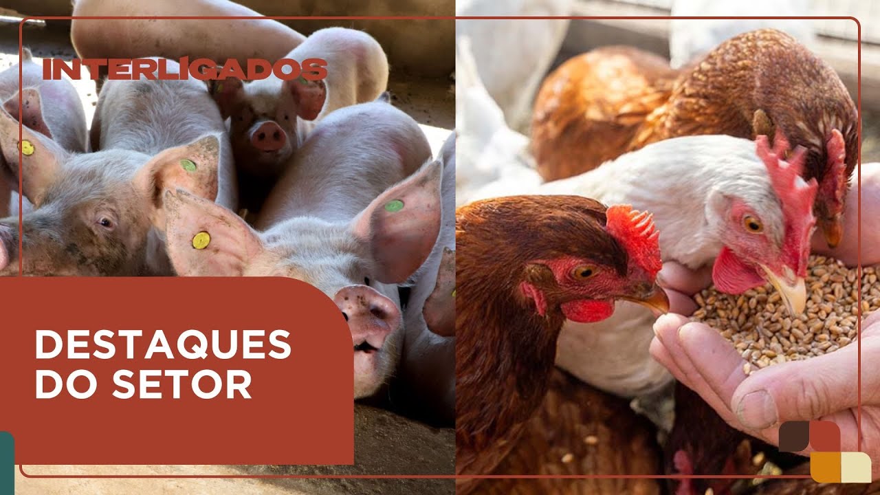 Abate trimestral do IBGE e destaques do Congresso FACTA | Interligados - 11/09/2025