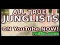 [vdub] ..:: CALLING ALL JUNGLISTS ::..