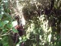 Horse Trails Inside Pululahua