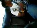 get sillay