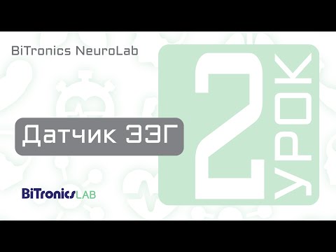 Модуль ЭЭГ BiTronics NeuroLab