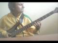 RHCP - American Ghost Dance bass cover