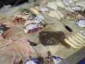 Fresh Seafood in China