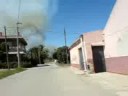 Arde el palmeral de Santiago y Zaraiche 1 de 4