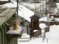 Bushtits at the suet cake feeder in the snow
