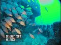 NOVA Fish Study