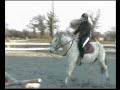apache et moi en saut