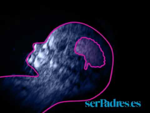 El desarrollo del feto en las semanas 9 - 12 de embarazo