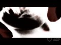 Cassie and Azazeal - From the inside (WATCH IN HQ)