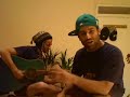 Foreign Beggars Green Guitar Competition