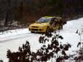 100 acre wood rally 2008