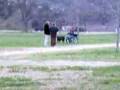 Rottweiler video