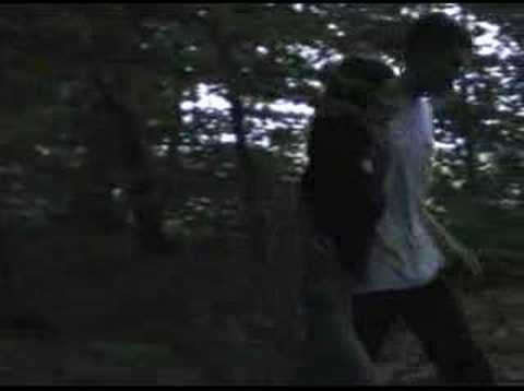 Promenons nous dans les bois