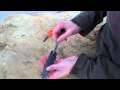 Buck Smidgen EDC: Every Day Carry Knife