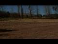 videos de 