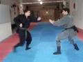 Ninjutsu hosho ryu