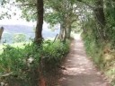 El camino de Santiago