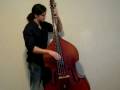 videos de Mingus - Goodbye Pork Pie Hat (Bass)