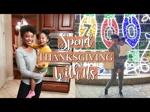 Spend Thanksgiving With Us! (First Holiday Co-Parenting) | Mom Vlog