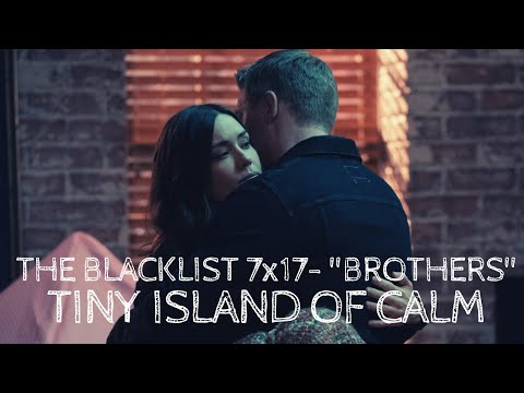 The Blacklist - 7x17 | Ending Scene (Liz & Ressler)