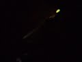 Brodinski @ Cabaret Sauvage