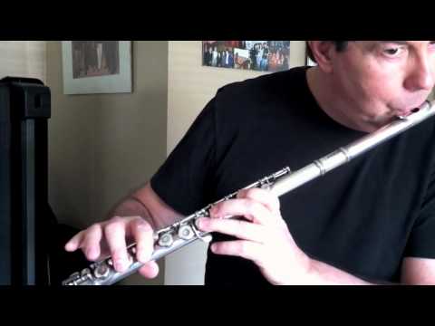 how to learn flute