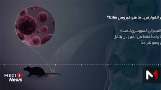 نادر وينتقل عبر القوارض..ماهو فيروس هانتا؟