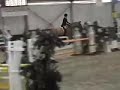Sanderson and Zazou Hoffman-Maclay Thermal