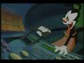 Animaniacs AMV - Yakko (again)