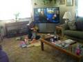 videos de Tea Party