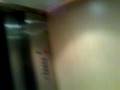 videos de nasib FE nmc